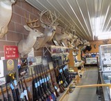 VERY WELL ESTABLISHED GUN SHOP AND RANGE WITH BAR AND GRILL MAJOR HI WAY - 13 of 20