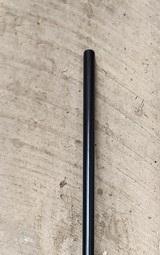 Remington 700 Classic 17 Remington!! - 10 of 10