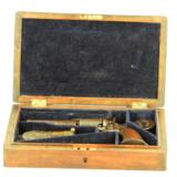 Cased Colt Root
- 1 of 6