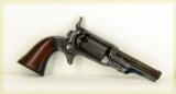 Cased Colt Root
- 3 of 6