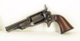 Cased Colt Root- 2 of 6