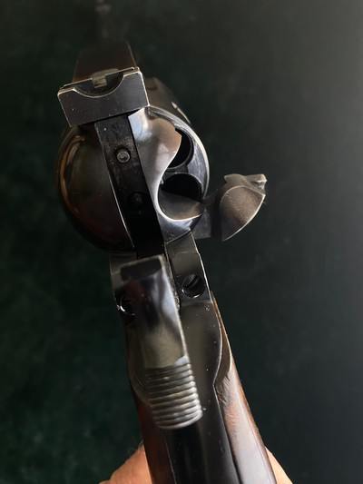 RARE Ruger 10