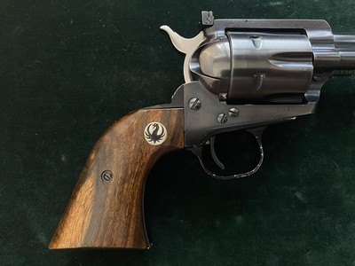 RARE Ruger 10