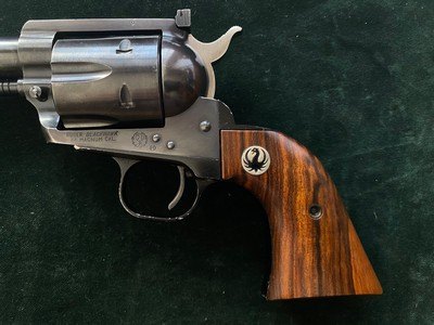 RARE Ruger 10