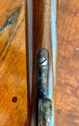 ***Rare*** Winchester 1886 50-110 Saddle Ring Carbine, Lettered - 11 of 15