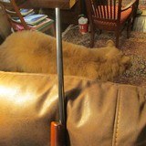 257 Weatherby Mark V with Leupold Scope. Great Wood - 13 of 14