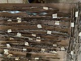BARBED WIRE COLLECTION