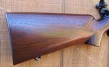 Winchester Model 52C Standard Target Rifle w/Redfield Olympic receiver sight and globe front sight - 5 of 7