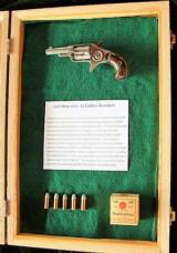 Antique Colt New Line Revolver & Ammo in Display Case - 1 of 15