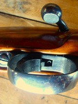 220 Swift 1960's Interarms Heavy Barrel Varmint Exotic Wood Stock - 14 of 15