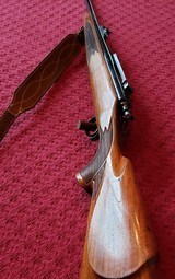 Remington Model 700 Carbine - 5 of 8