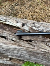 Winchester model 43 218 bee - 4 of 12