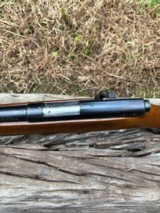 Winchester model 43 218 bee - 6 of 12