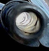 M 1 GARAND = SPRINGFIELD = Certified = 30/06 = Special Spectacular Speckled Stock = Made 12/43 == High Excellent condition == - 16 of 19