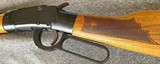 ITHACA - MODEL 49 = LEVER ACTION = SINGLE SHOT = 22 Short, Long & LONG RIFLE = ELMWOOD FANCY STOCK - 8 of 9