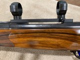 Weatherby Mark V Safari Custom 340 Magnum 26” Beautiful - 14 of 15