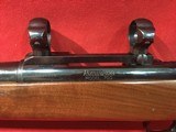 Remington 700 Classic
250 Savage - 9 of 13