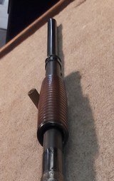 Winchester Model 12 30" Solid Rib - 13 of 15