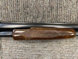 Winchester Model 12 - Heavy Duck, Pigeon Grade, Nick Kusmit Engraved Pigeon - 5 of 14