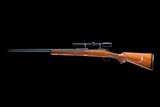 Winchester Model 70 .375 H&H - 12 of 14