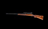 Winchester Model 70 Pre 64 - 6 of 7