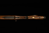 Parkwest SD76 Dark Continent - .416 Rigby - NEW - 9 of 12