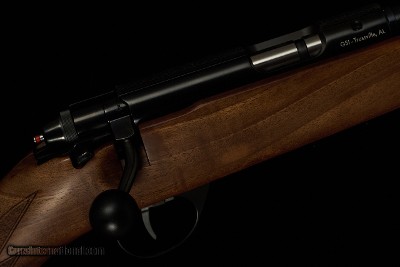 Anschutz Model 1710, .22LR - NEW