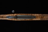 Parkwest SD-76 Legend, .300 Win Mag - NEW - Image 7 of 13