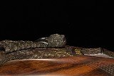 McKay Brown O/U, 16ga/30" - Pheasant Plumage - NEW - Image 14 of 14