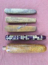 Collection of Five Vintage Wood Decoy Corn- ca. 1920’s to 1940’s - 1 of 1