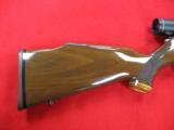 Weatherby 17 HMR - 4 of 7