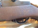 Springfield M1 Garand
with great bore - 8 of 11
