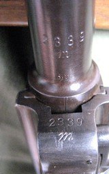 Luger with matching number flat stock, Erfurt 1917 - 12 of 21