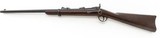 Springfield Model 1873 Trapdoor Carbine with 1877 Improvements #187771 (star) .45-70 Gov't. CF cal - 3 of 6