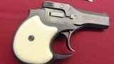 Sold—-HIGH STANDARD DERRINGER MODEL DM 101 22 MAGNUM - 4 of 11