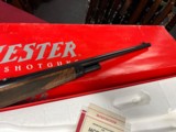 WINCHESTER MODEL 1886 ~ ENGRAVED ~ HIGH GRADE ~ 45-70 LEVER ACTION CARBINE - 9 of 13