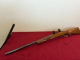 RUGER MODEL M77 BOLT ACTION VARMINT RIFLE 22-250 HEAVY BARREL ~ EARLY RED PAD ~ - 9 of 15