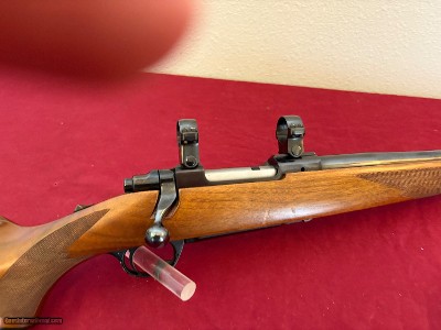RUGER MODEL M77 BOLT ACTION VARMINT RIFLE 22-250 HEAVY BARREL ~ EARLY RED PAD ~