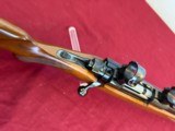 RUGER MODEL M77 BOLT ACTION VARMINT RIFLE 22-250 HEAVY BARREL ~ EARLY RED PAD ~ - 7 of 15