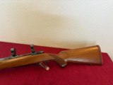 RUGER MODEL M77 BOLT ACTION VARMINT RIFLE 22-250 HEAVY BARREL ~ EARLY RED PAD ~ - 12 of 15