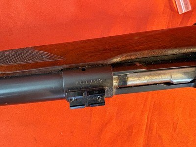 WINCHESTER MODEL 70 PRE 64 HEAVY BARREL VARMINT 243 WIN ~ MADE 1960 ~ - Image 14 of 16