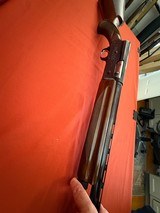 BROWNING A5 LIGHT TWENTY SEMI AUTO SHOTGUN 20 GAUGE ~ MADE IN 1980 ~ - Image 13 of 24