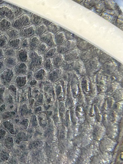 GERMAN PPK HOLSTER DATED 1944 - Image 8 of 9