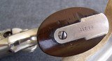 Colt model 7 Rootfactory nickle plated - 3 of 20