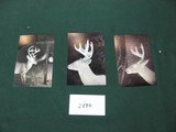 7777 Texas Trophy Whitetail Hunts, 12 bucks as pictured, one axis buck 28-30 inches, 4 drop tine herd buck and others, Day hunt or multi day hunts, hu - 9 of 12