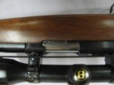 7650 Ruger 77/22- 22LR W/ Bushnell 2.5-8 Scope, amazing bluing, checkered stock, Rotary magazine, 99% condition - 7 of 12