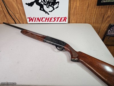 9077
Remington Sportsman 58, 12 Gauge, 28” Barrels, MOD, plain barrel, blue engraved receiver, ducks and dogs, Remington butt plate, 90% condition, 1