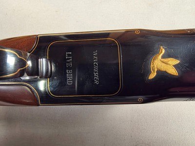 9305Winchester 101 American Flyer Live Bird 12 gauge, 28” Barrels, Vent rib, pistol grip, 14 1/3 LOP, 2 3/4 Chambers, X Full fixed top barrel, botto - Image 12 of 25
