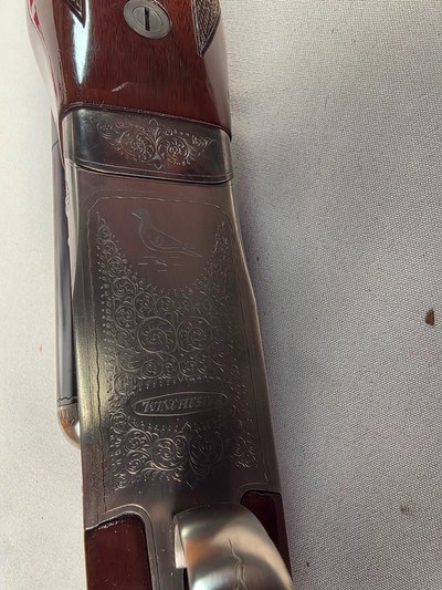 9335Winchester Model 23 Pigeon XTR side by side, 20 gauge, 2 3/4 and 3”, 28 “ barrels, Round knob, Winchester butt plate, 14 1/4 LOP, Mod and full f - Image 23 of 25