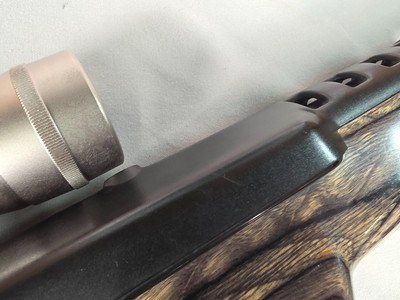 9381Ruger Ranch, Target, 222 Cal, muzzle brake, laminated thumb hole stock, Burris scope 4.5x14x40, 2 mags, More pictures at DawsonsDoubles DOT COM - Image 14 of 25